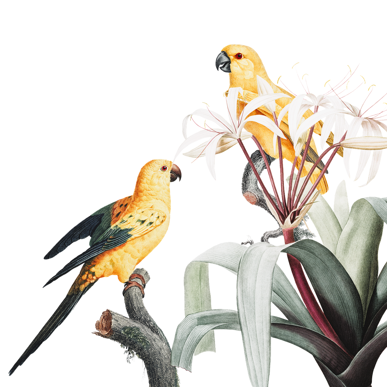 Pintura pareja de aves amarillas y negras sobre plantas