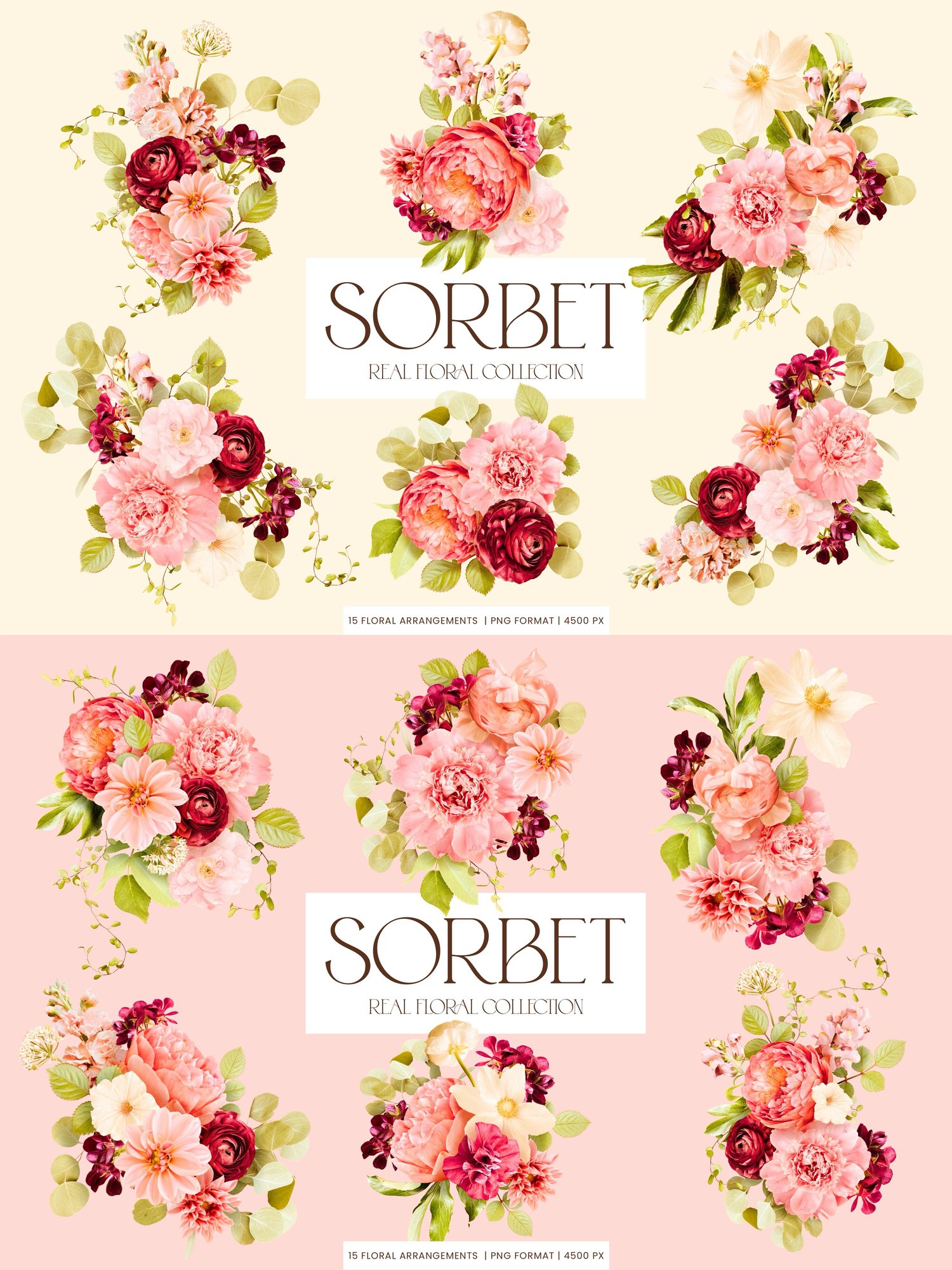 pink, cream, and burgundy floral clip art graphics