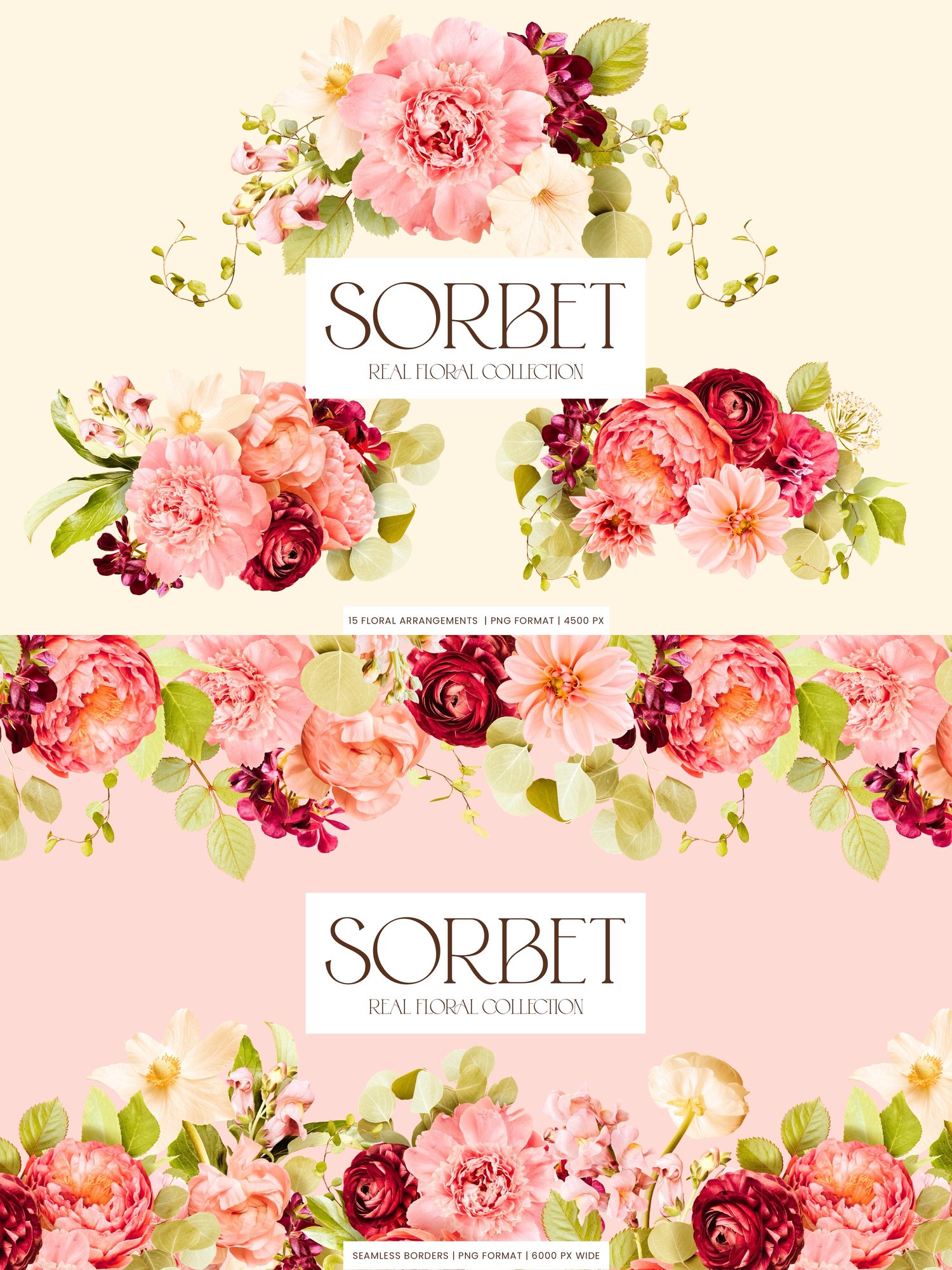 pink, cream, and burgundy floral clip art graphics