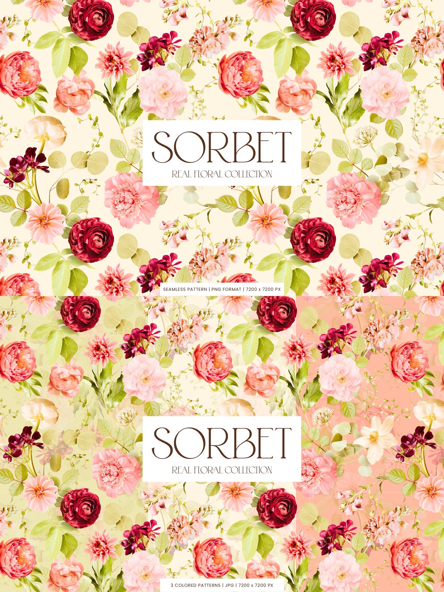 pink, cream, and burgundy floral clip art graphics