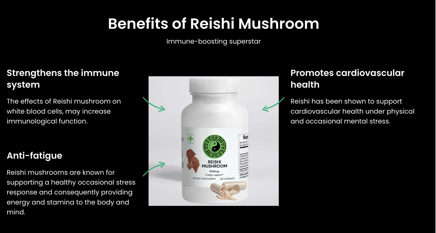 Within Reishi mushrooms, there are numerous beneficial molecules such as peptidoglycans, triterpenoids, and polysaccharides. Through these molecules, Reishi is known to strengthen the immune system and believed to help the body adapt to occasional stress. As a result, Reishi is the top-selling adaptogenic mushroom in the world.