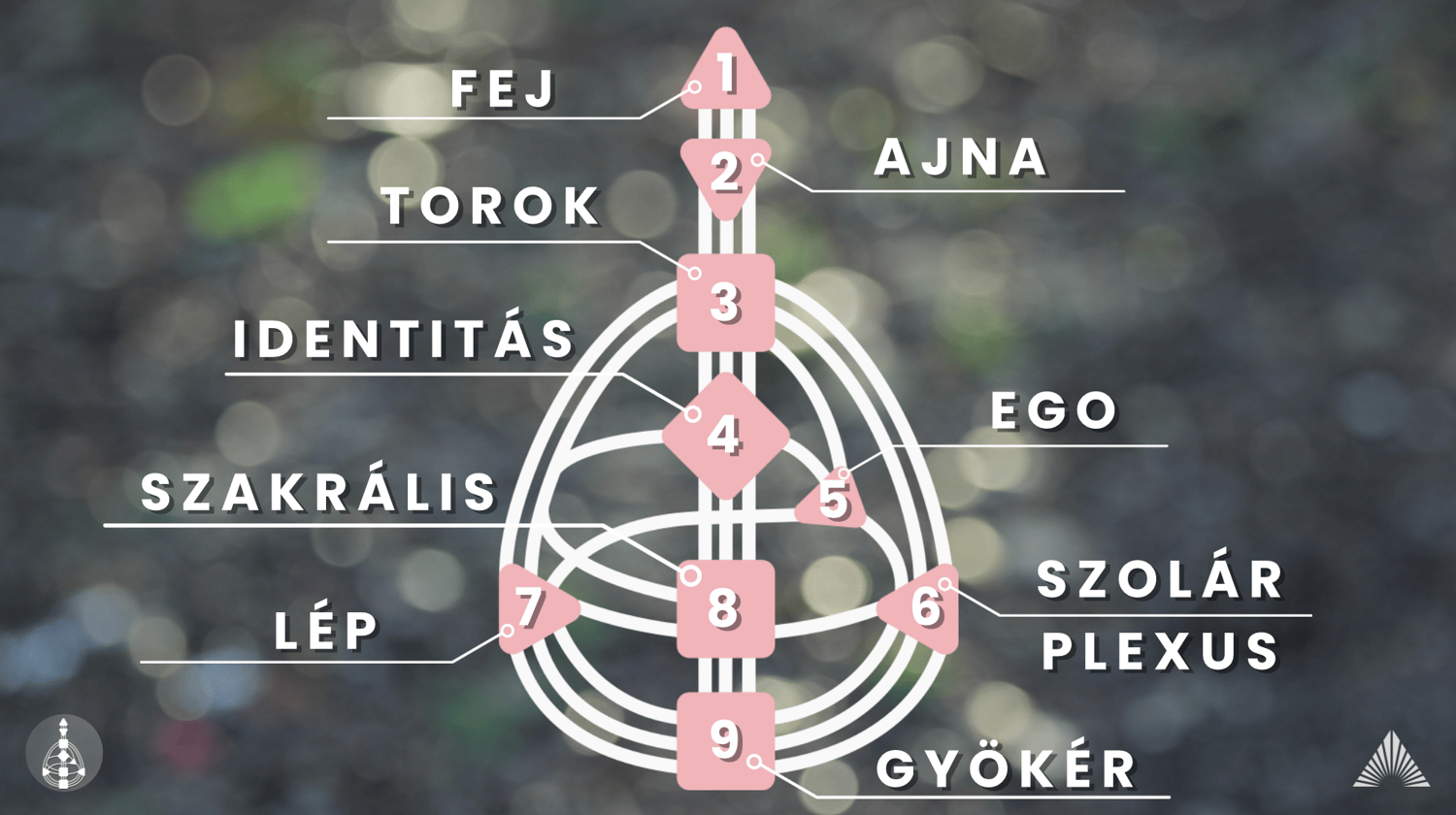 human design siker bőség pénz profit központok üzlet