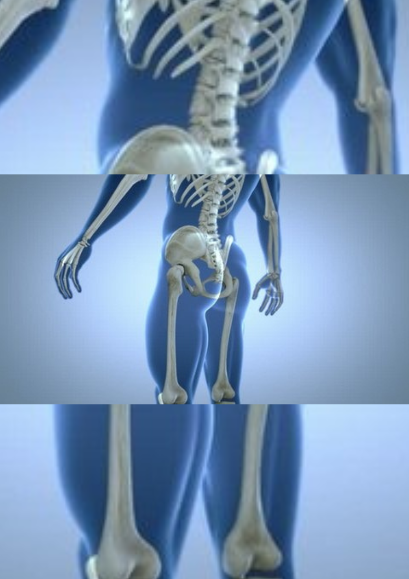 inner body awareness