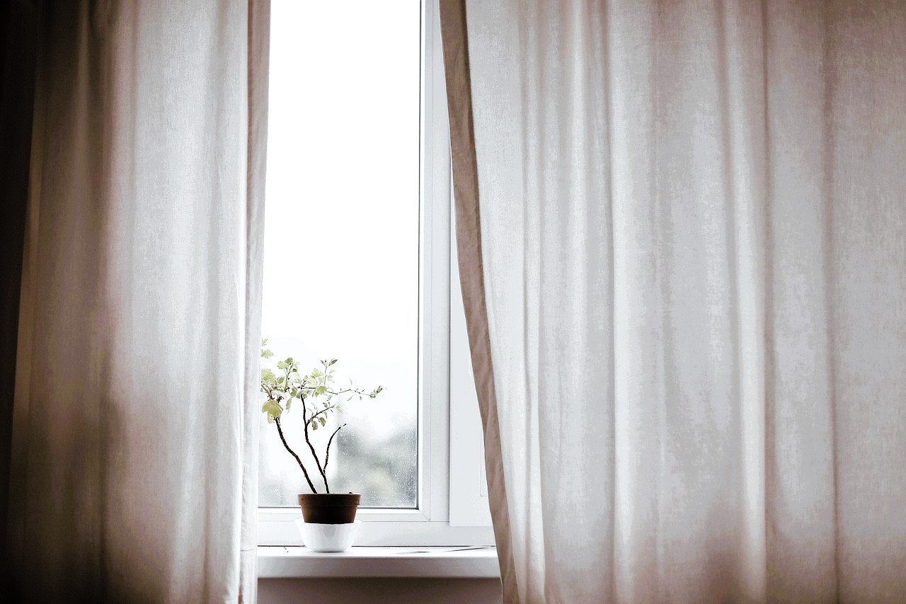Cortinas, decoración, planta, e interior