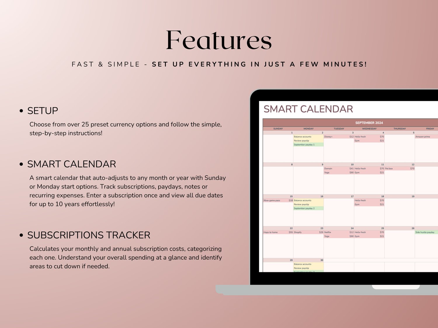 Subscriptions Tracker Spreadsheet - Payhip