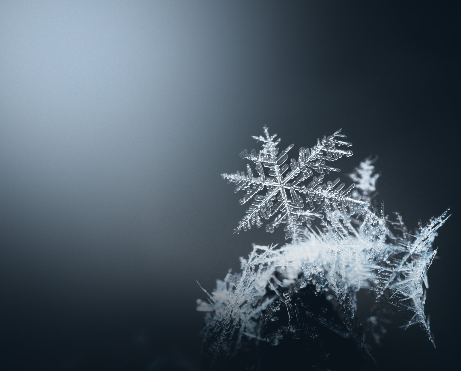 macro of a snowflake