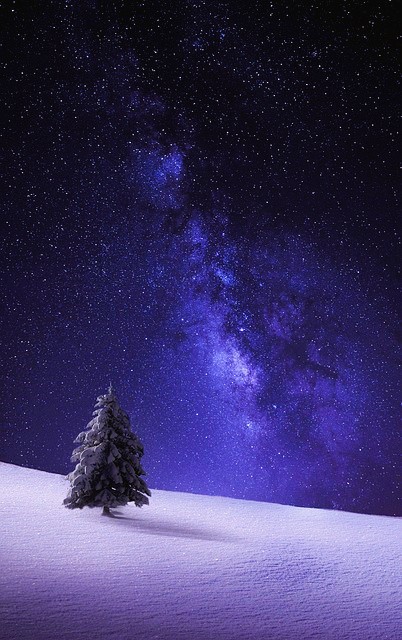 Abeto, camino nevado, cielo estrellado