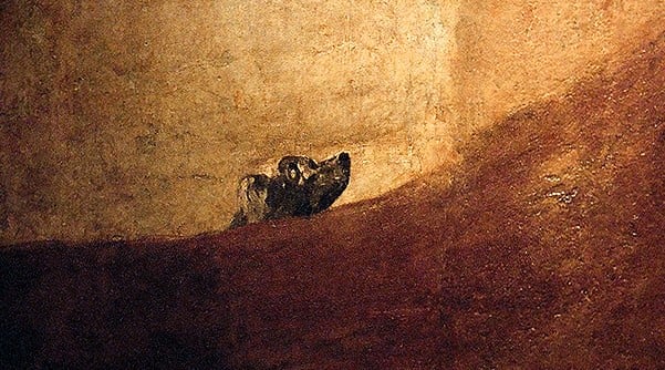 Goya-perro semihundido