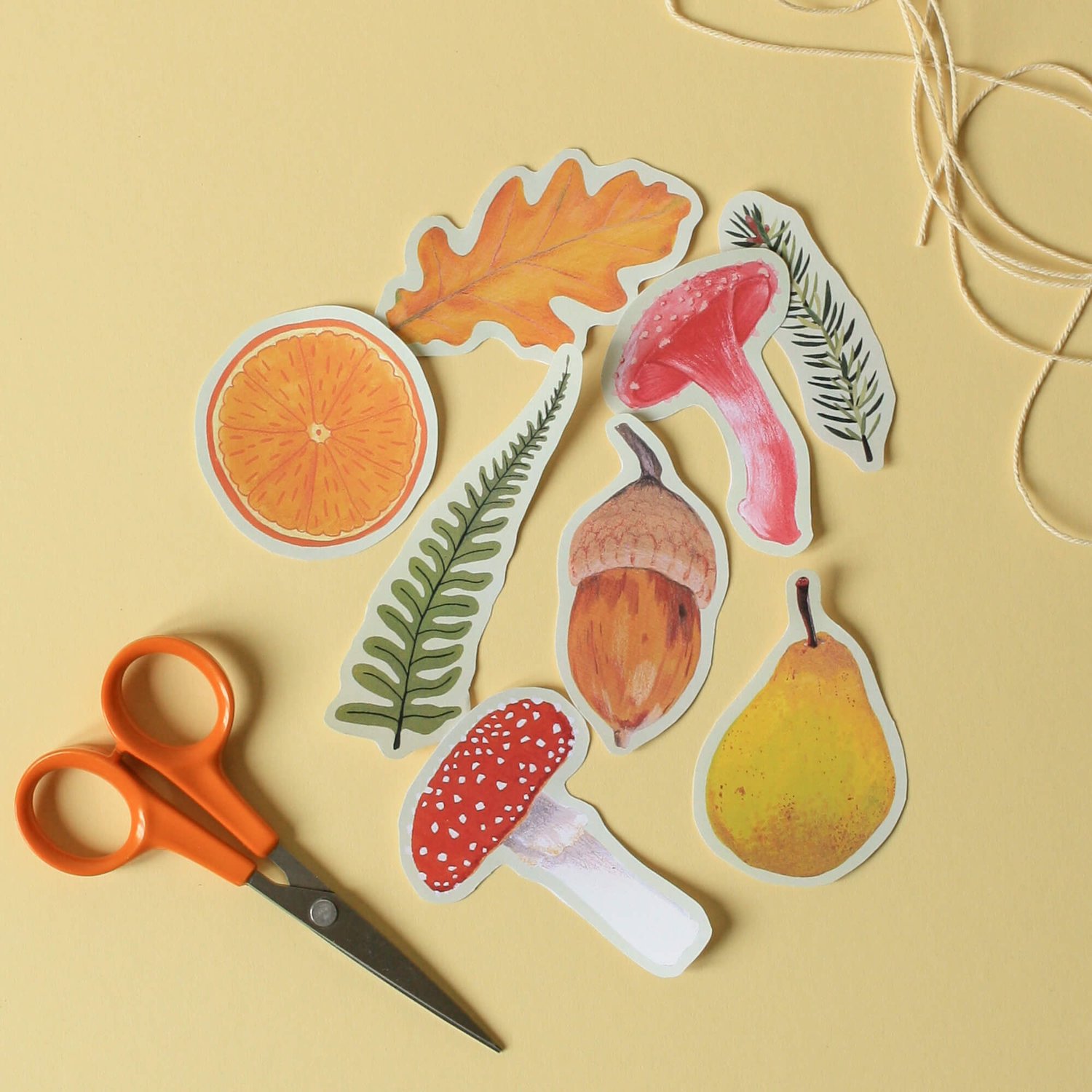 8 cut out paper illustrations of leaves, fruit and mushrooms with scissors and string