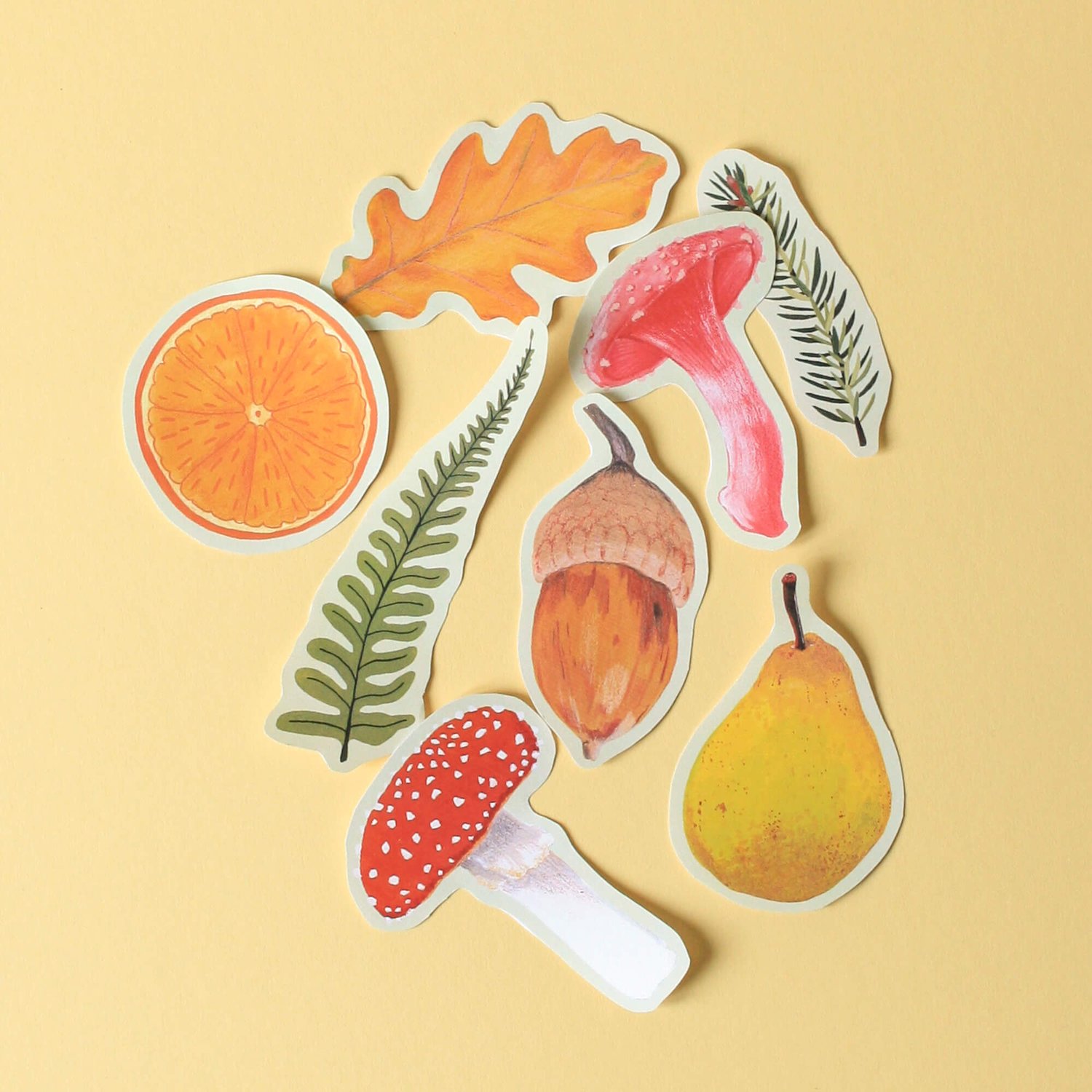 8 cut out paper illustrations of leaves, fruit and mushrooms