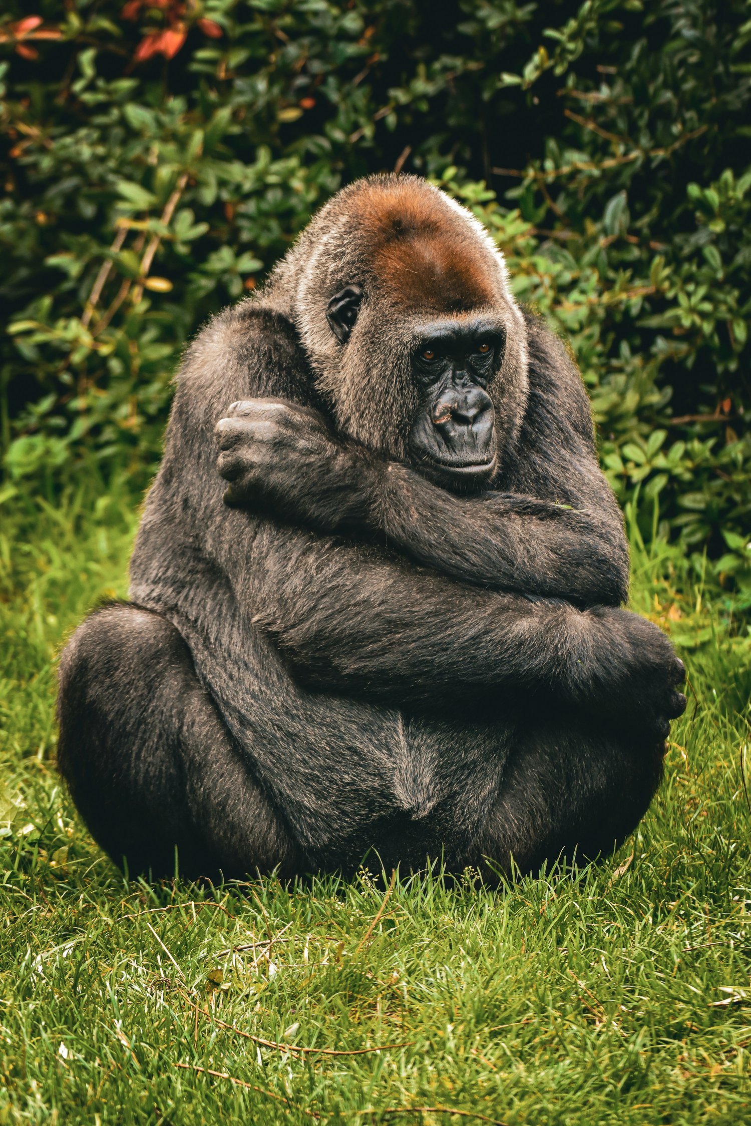 Wildlife jobs conservation careers