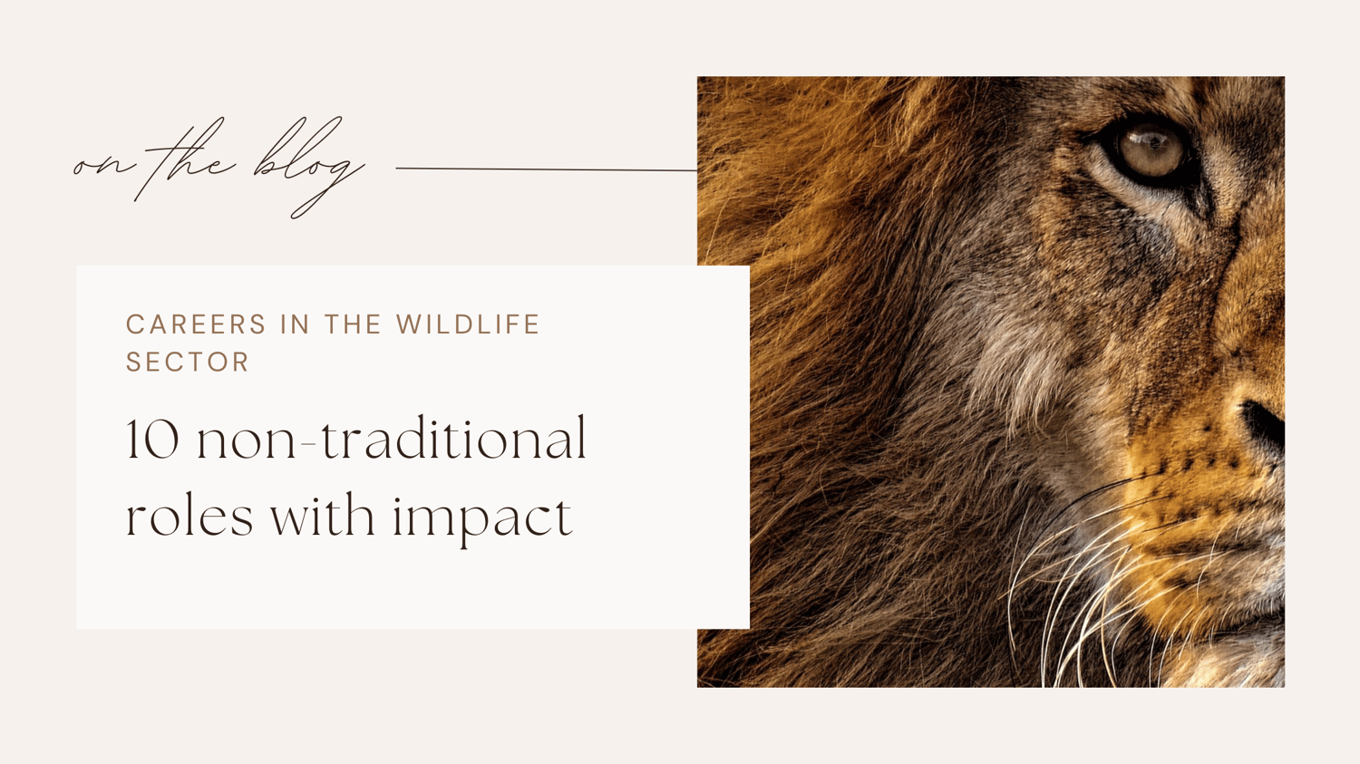 wildlife jobs conservation careers