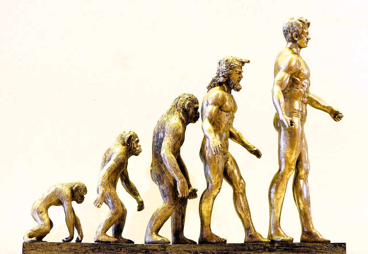 Evolución, desarrollo y futuro