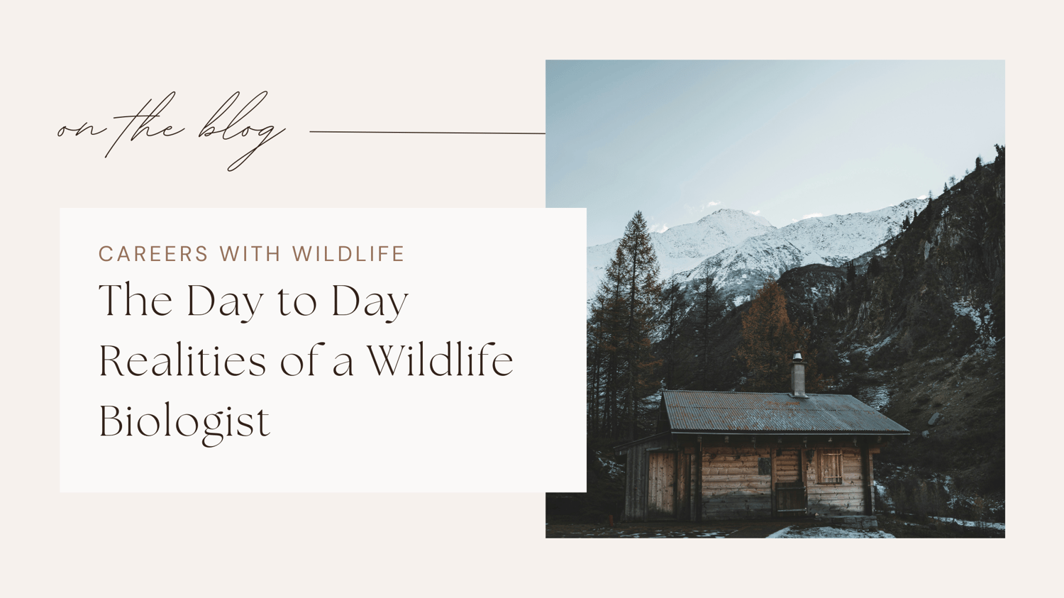 Wildlife jobs conservation careers