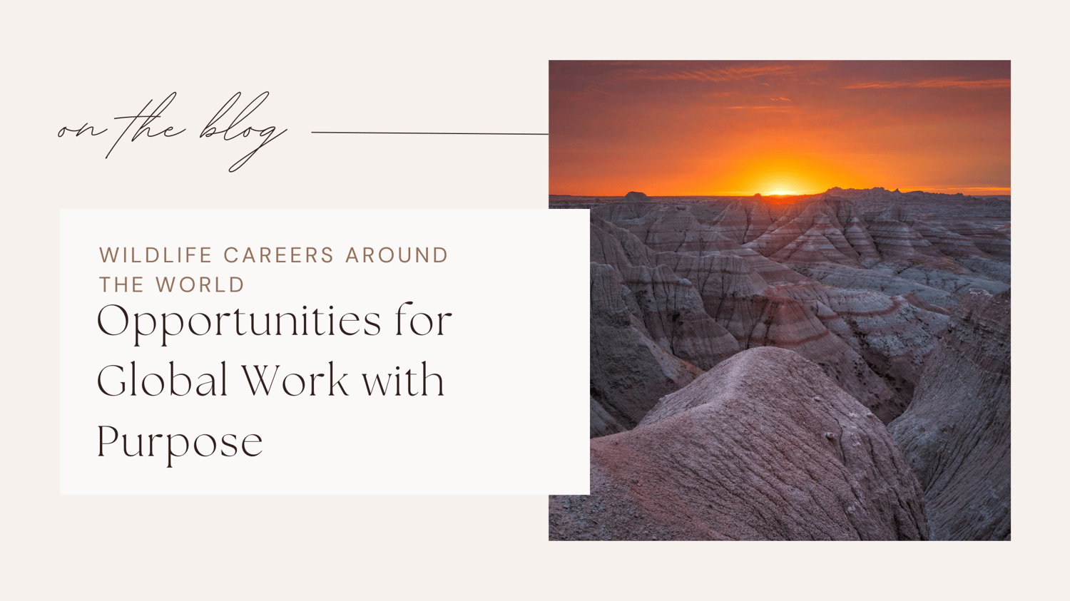Wildlife jobs conservation careers