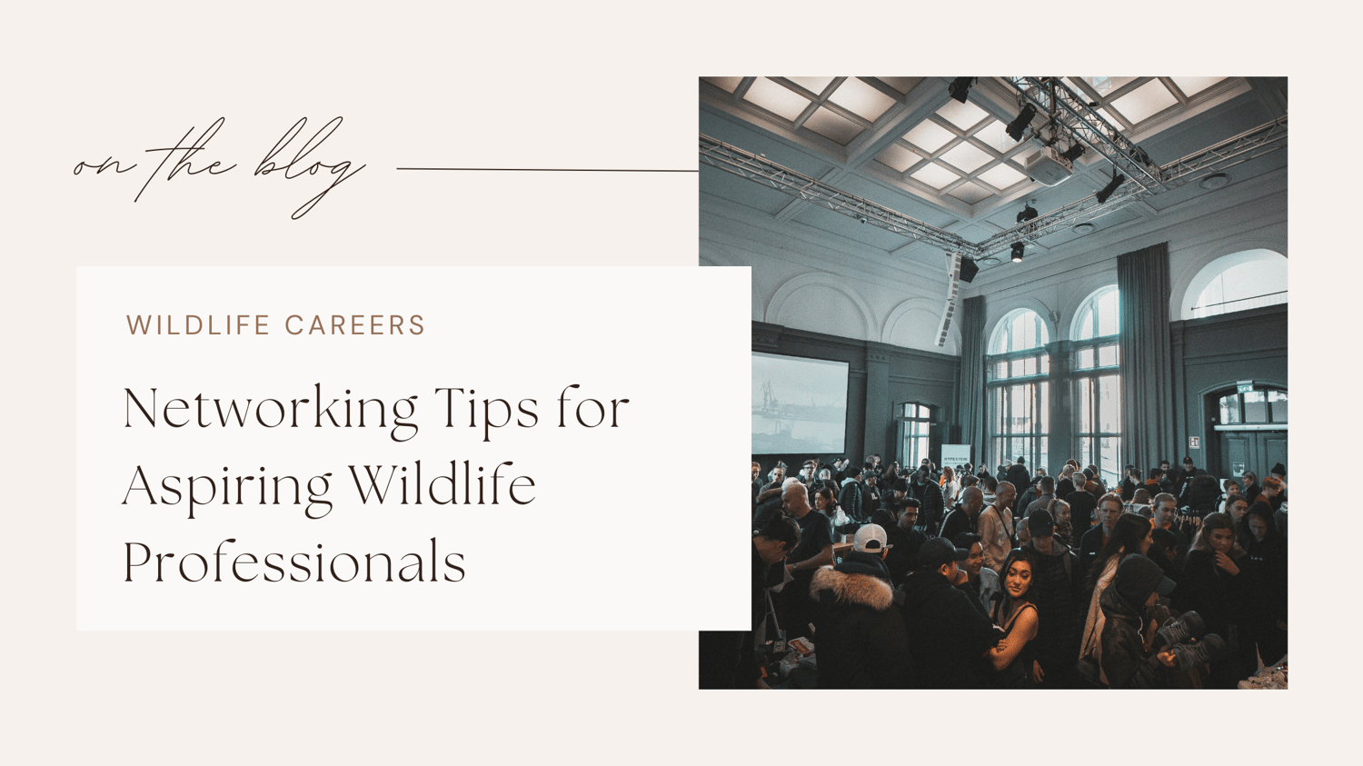 Wildlife jobs conservation careers