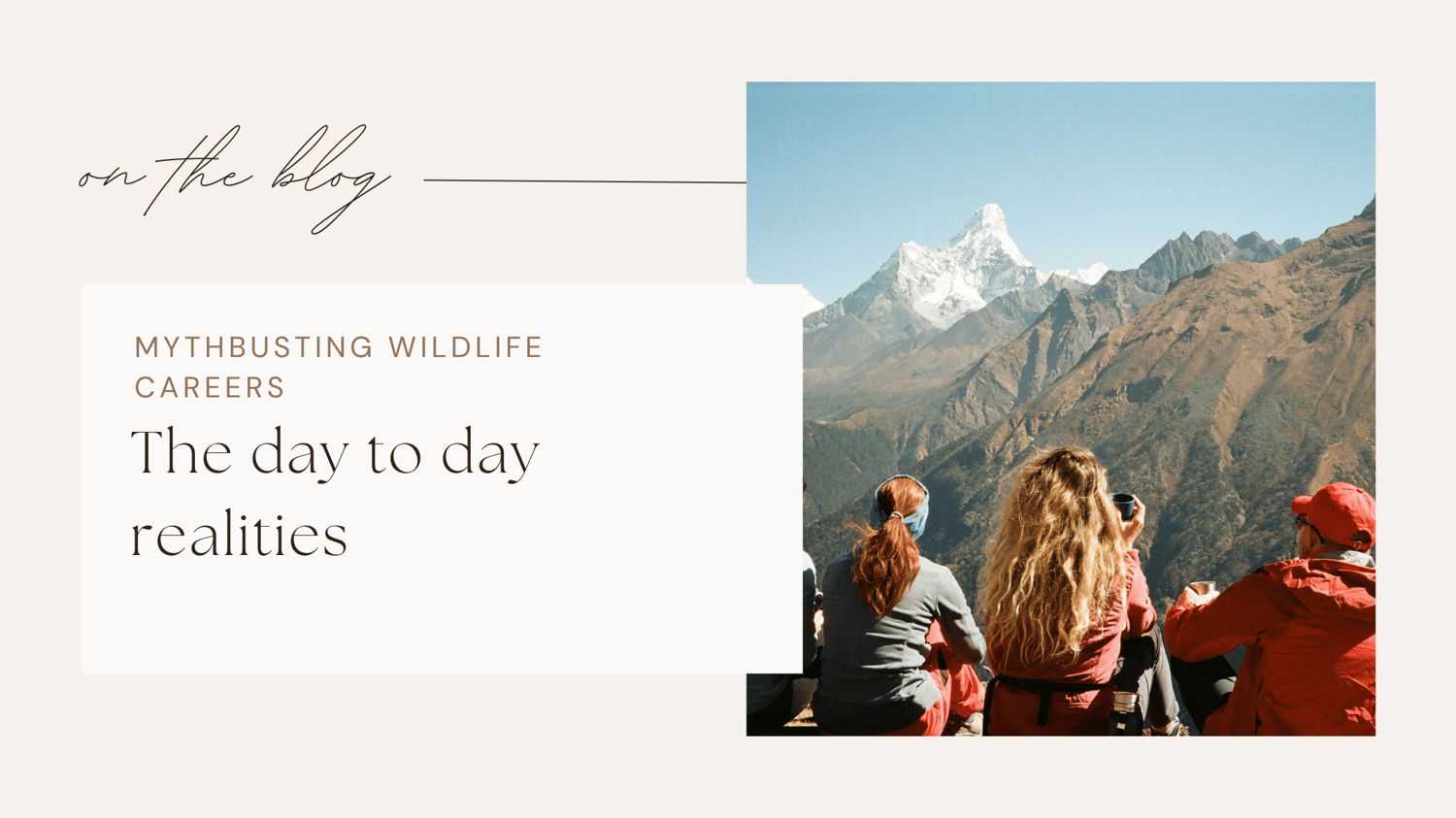Wildlife jobs conservation careers