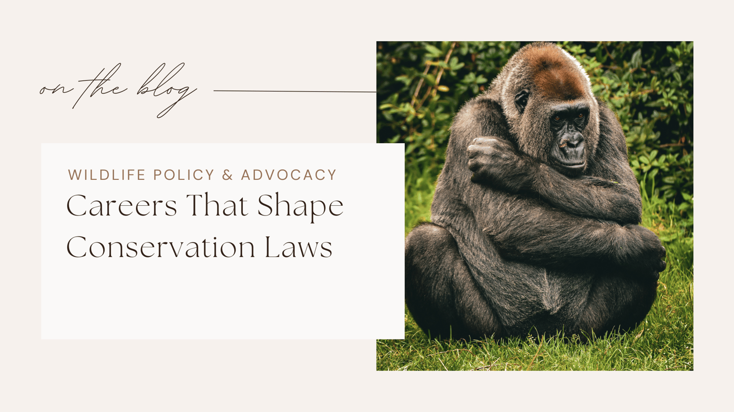 Wildlife job conservation careers