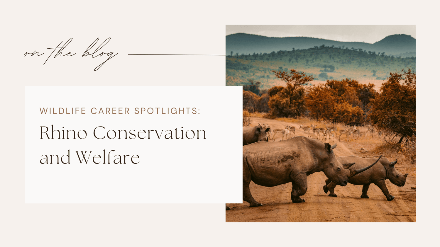 Wildlife jobs conservation careers
