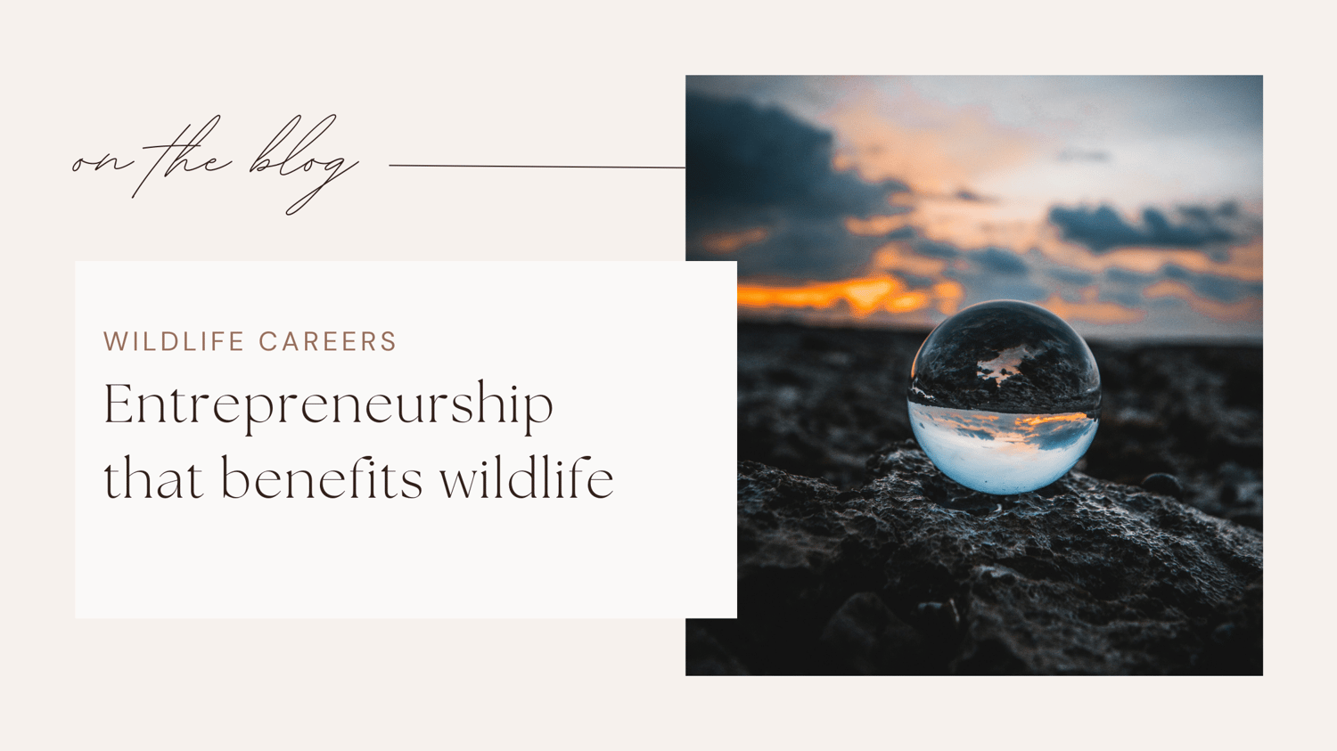 Wildlife jobs conservation careers
