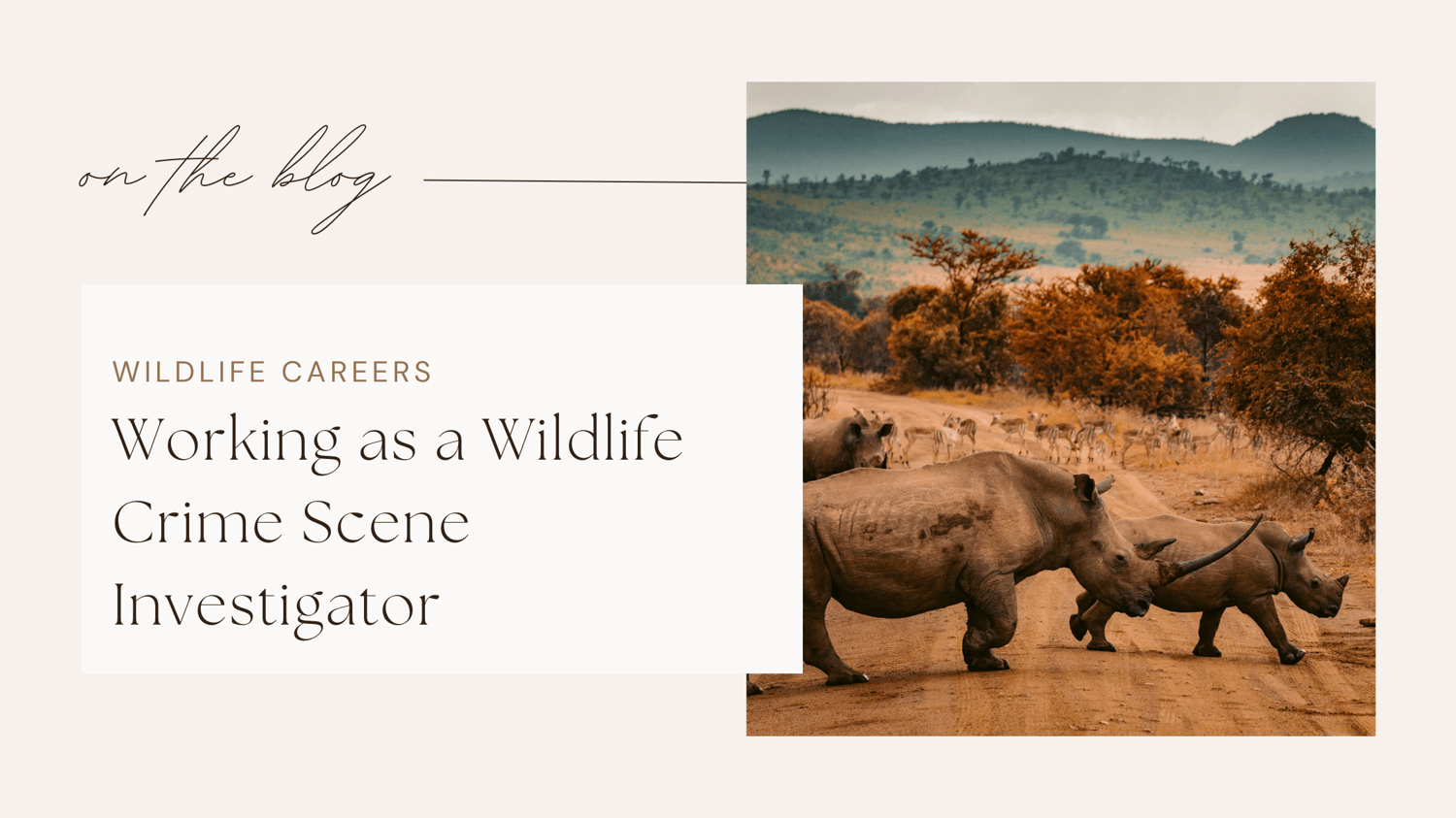 Wildlife jobs conservation careers