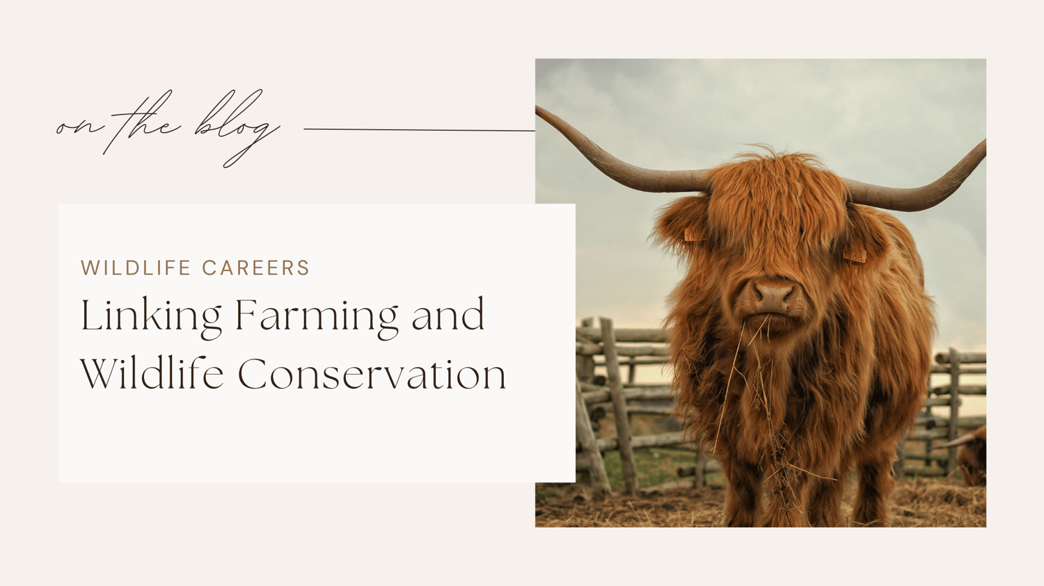 Wildlife jobs conservation careers