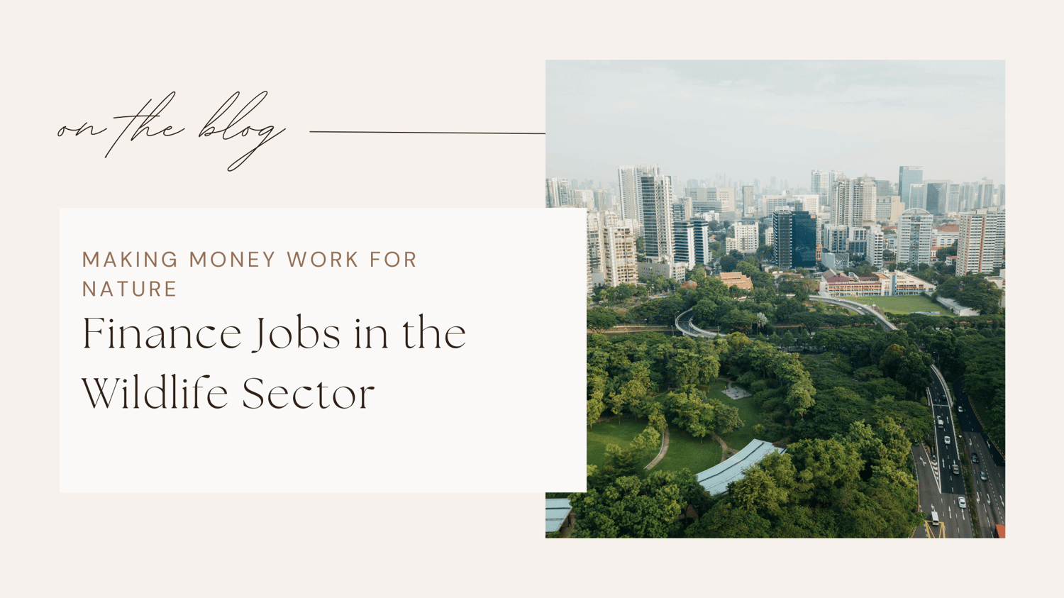 Wildlife jobs conservation careers