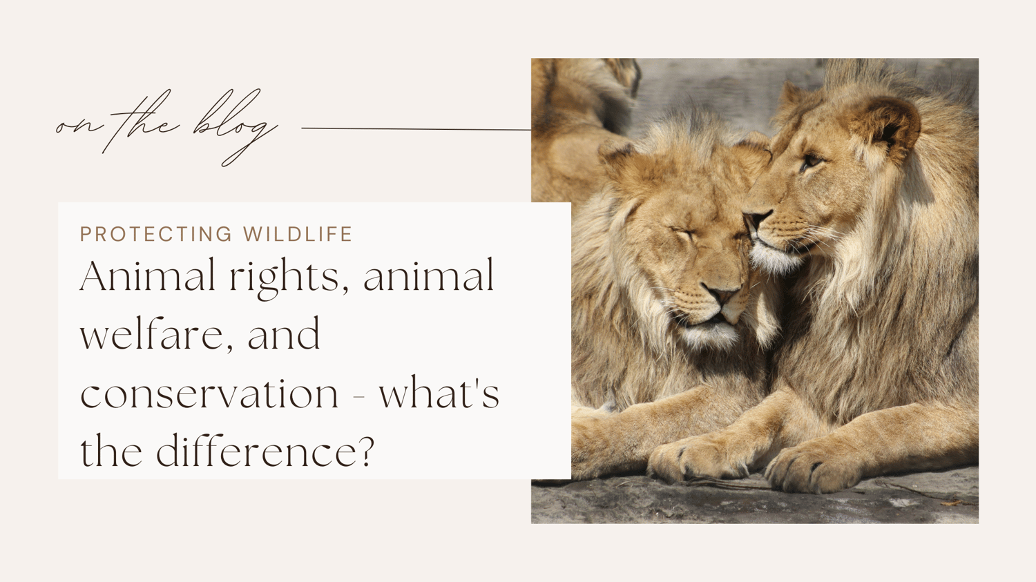 Wildlife jobs conservation careers