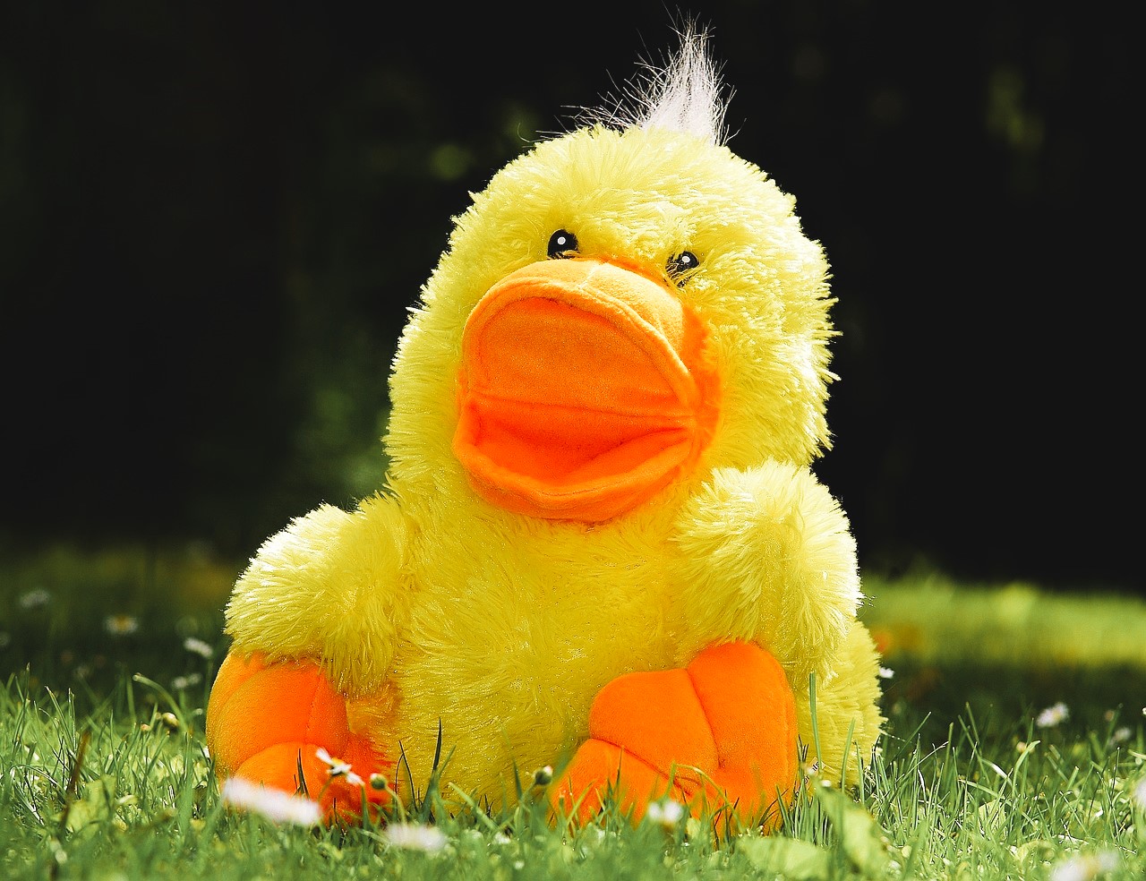 Pato de peluche
