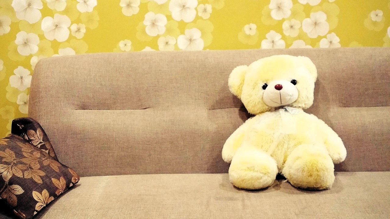 Oso de peluche, juguete y sofá