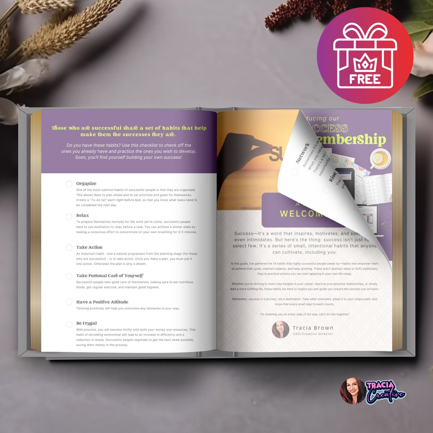 Free 14 Habits of Successful People Checklist PDF