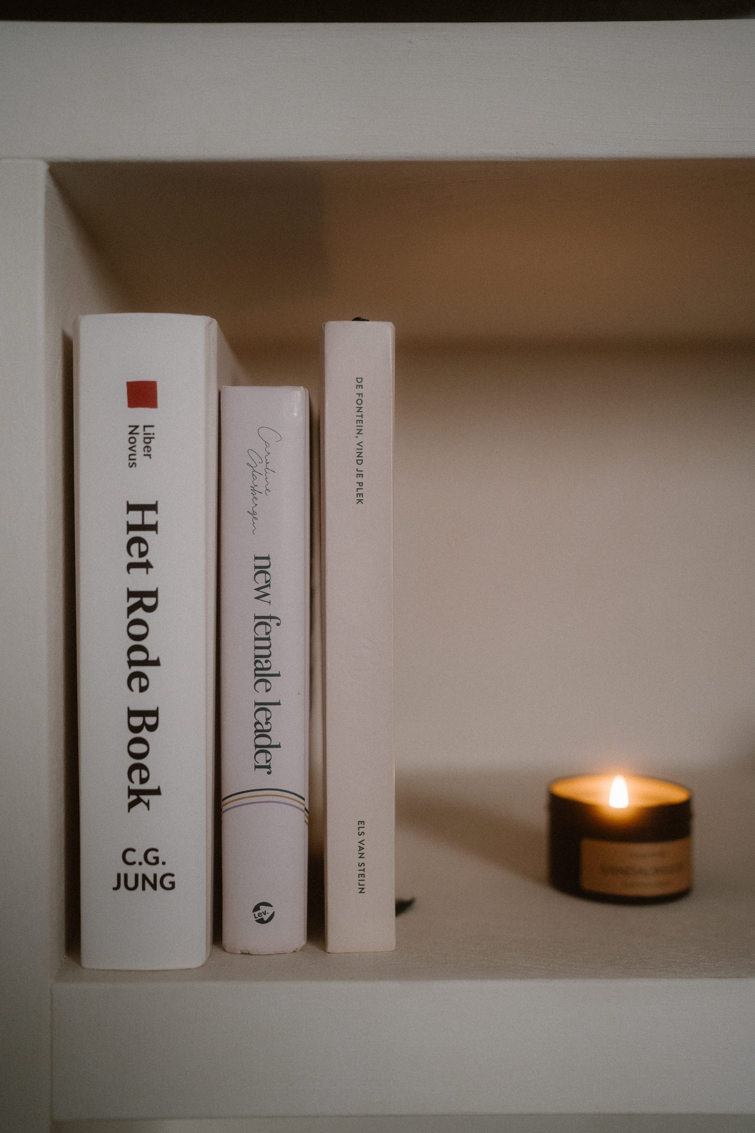 ambitieuze vrouwe ontwikkeling, voldoening in werk