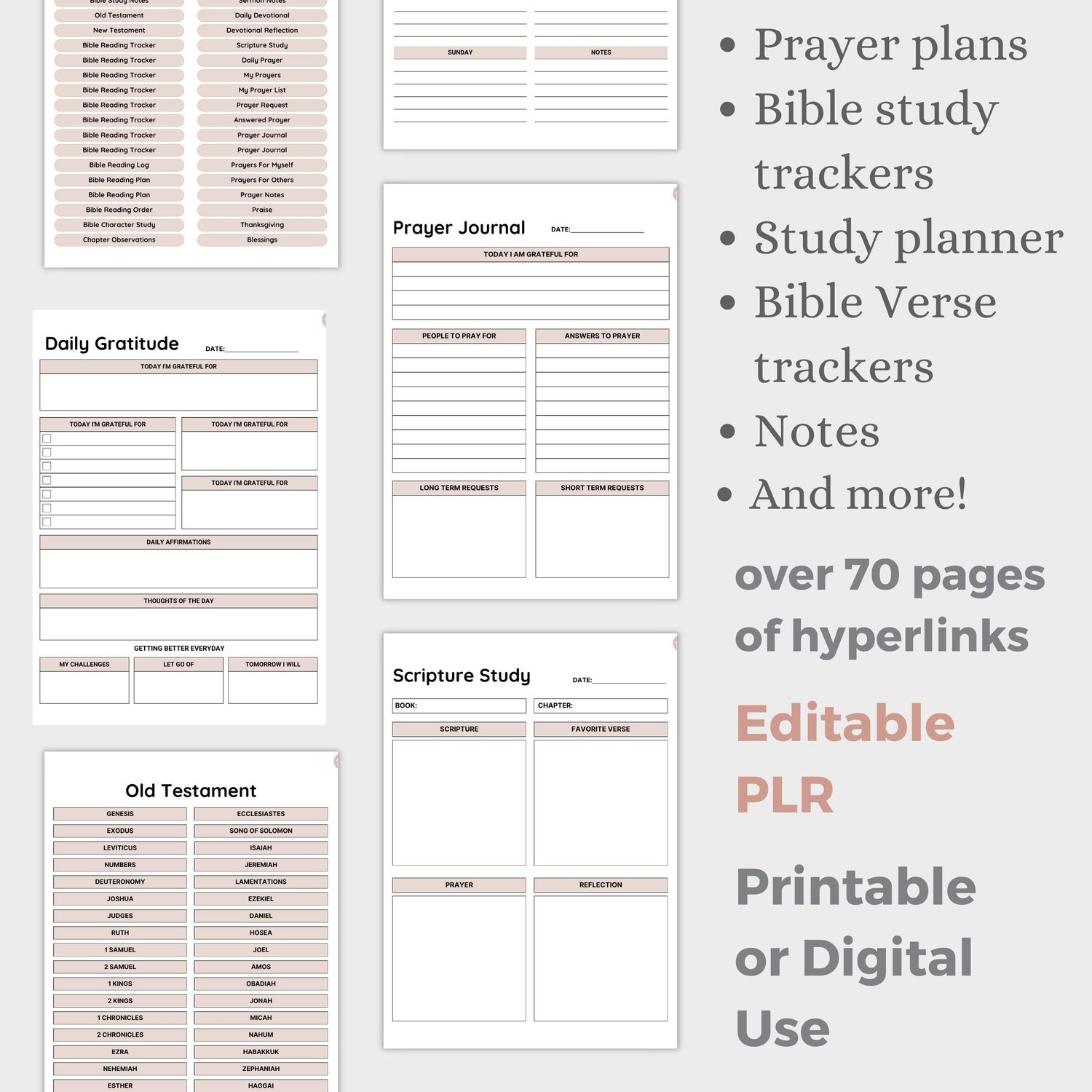 Digital Prayer Journal | PLR Bible Study Planner | Hyperlink Journal ...