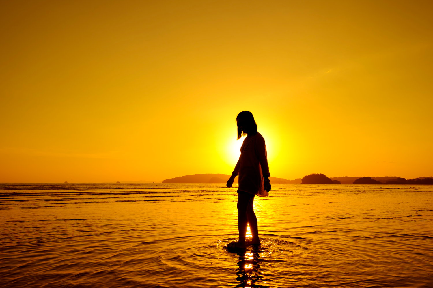 freepik.plageimagegratuite