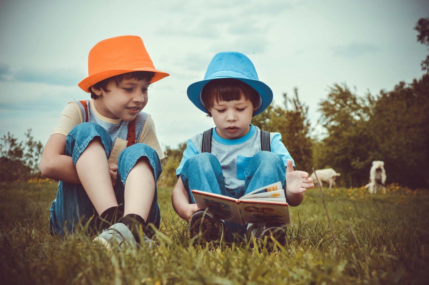 two little brothers reading a book in a field