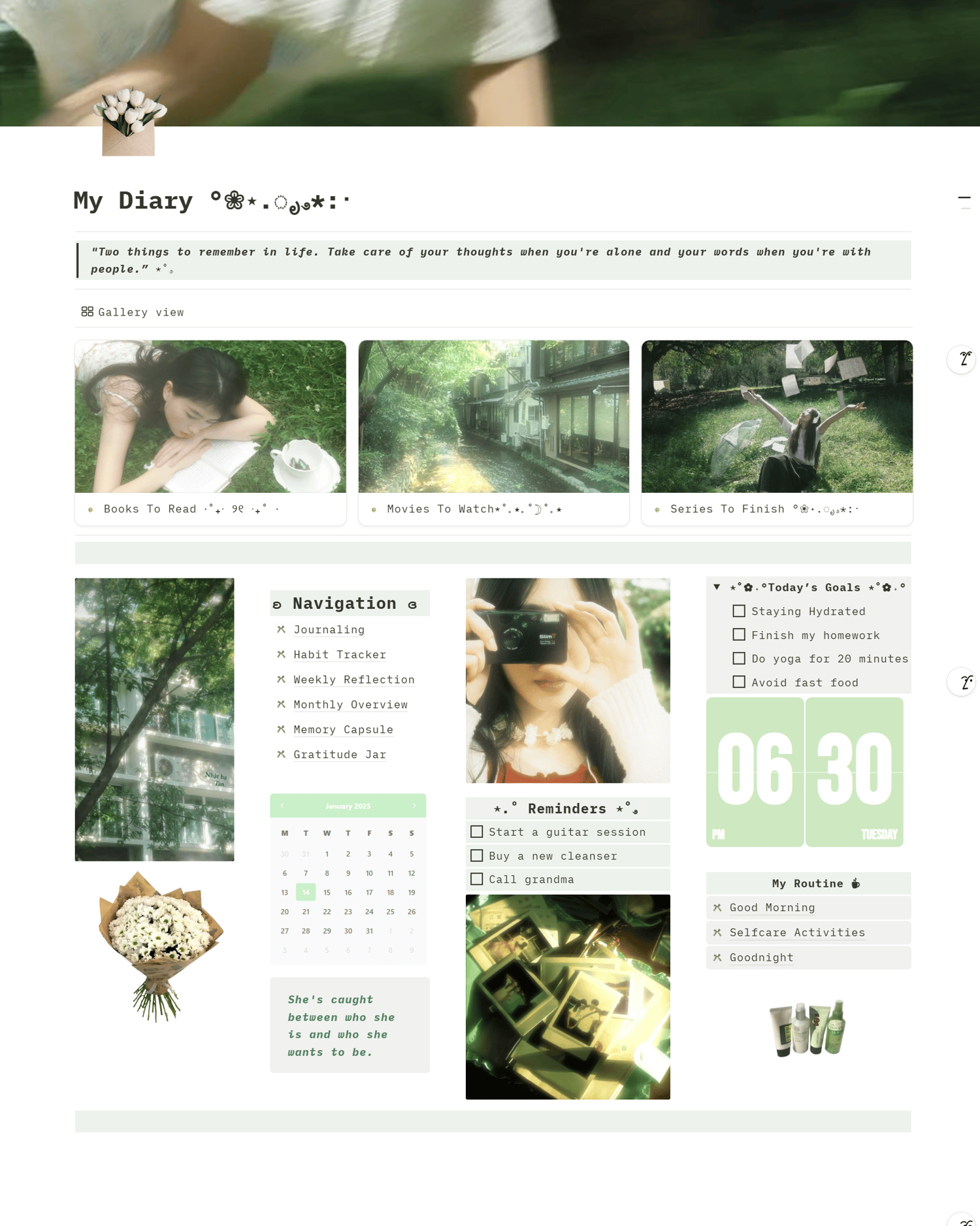Template Preview