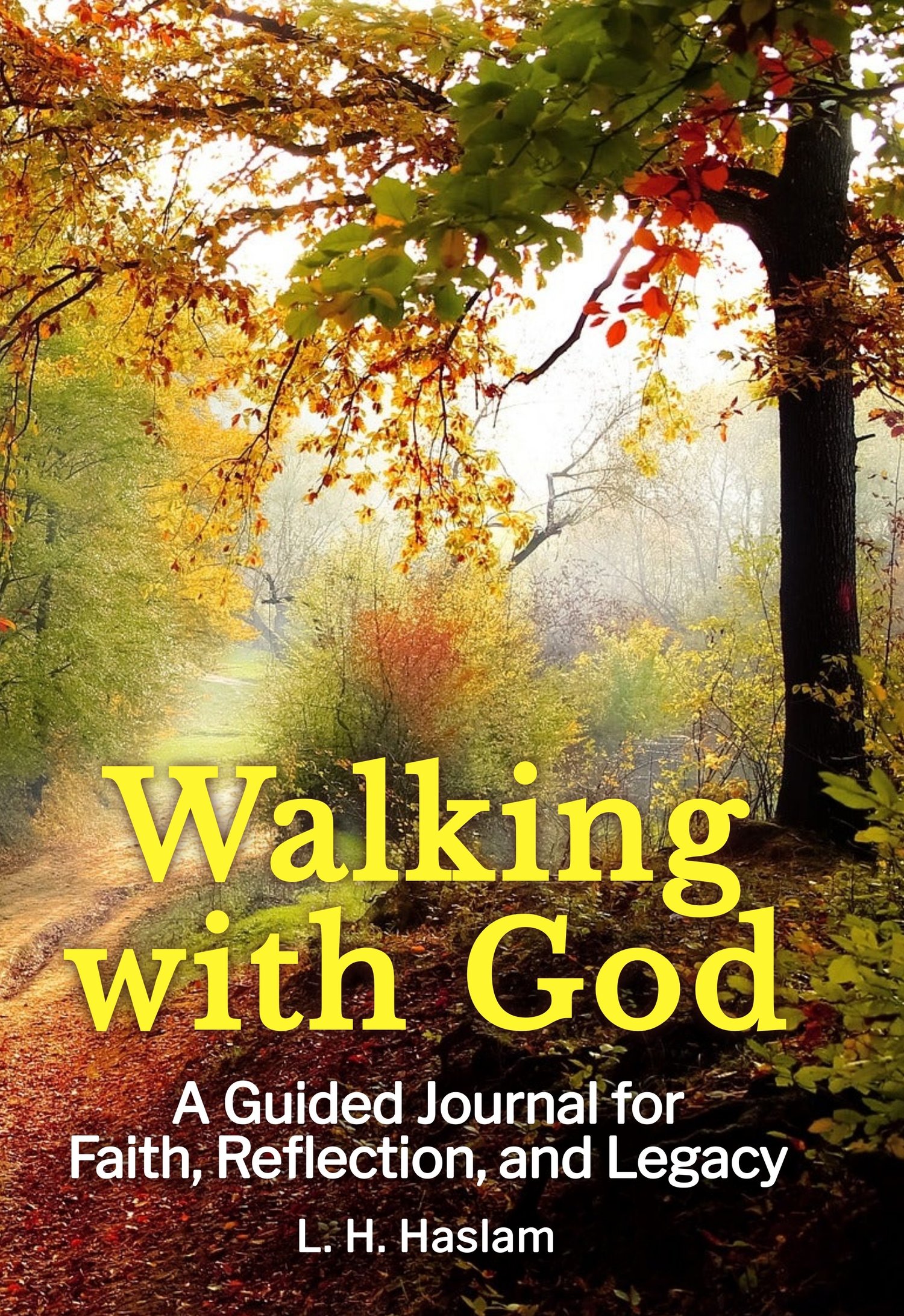 Cover image of Walking with God journal