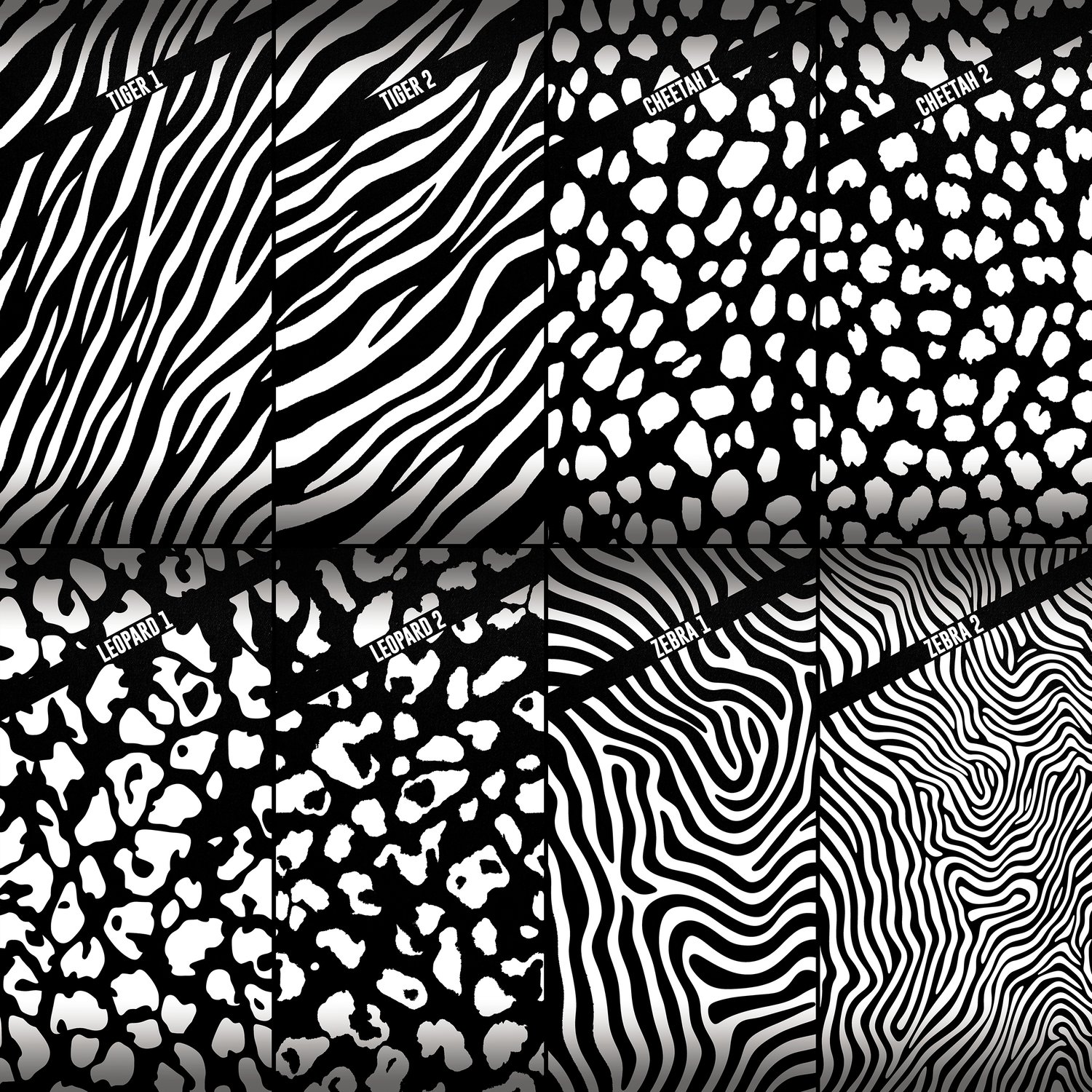 Animal Print, Stripes, Spots, Photoshop Template, Digital Background, Layered, Sports, Teams, Schools, Seniors, Photography, Pics, Photo Day, Media Day, Mascot