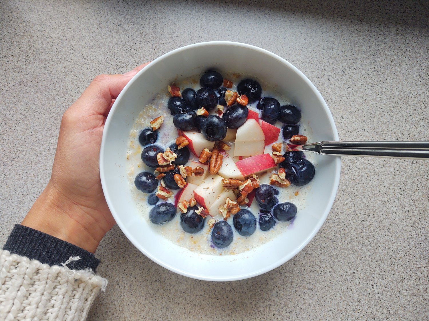 A hand holding a bowl filled with porridge and fruit