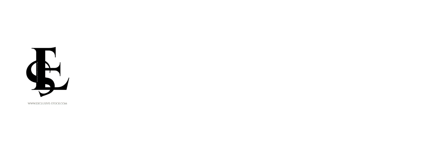 exclusive stock logo image