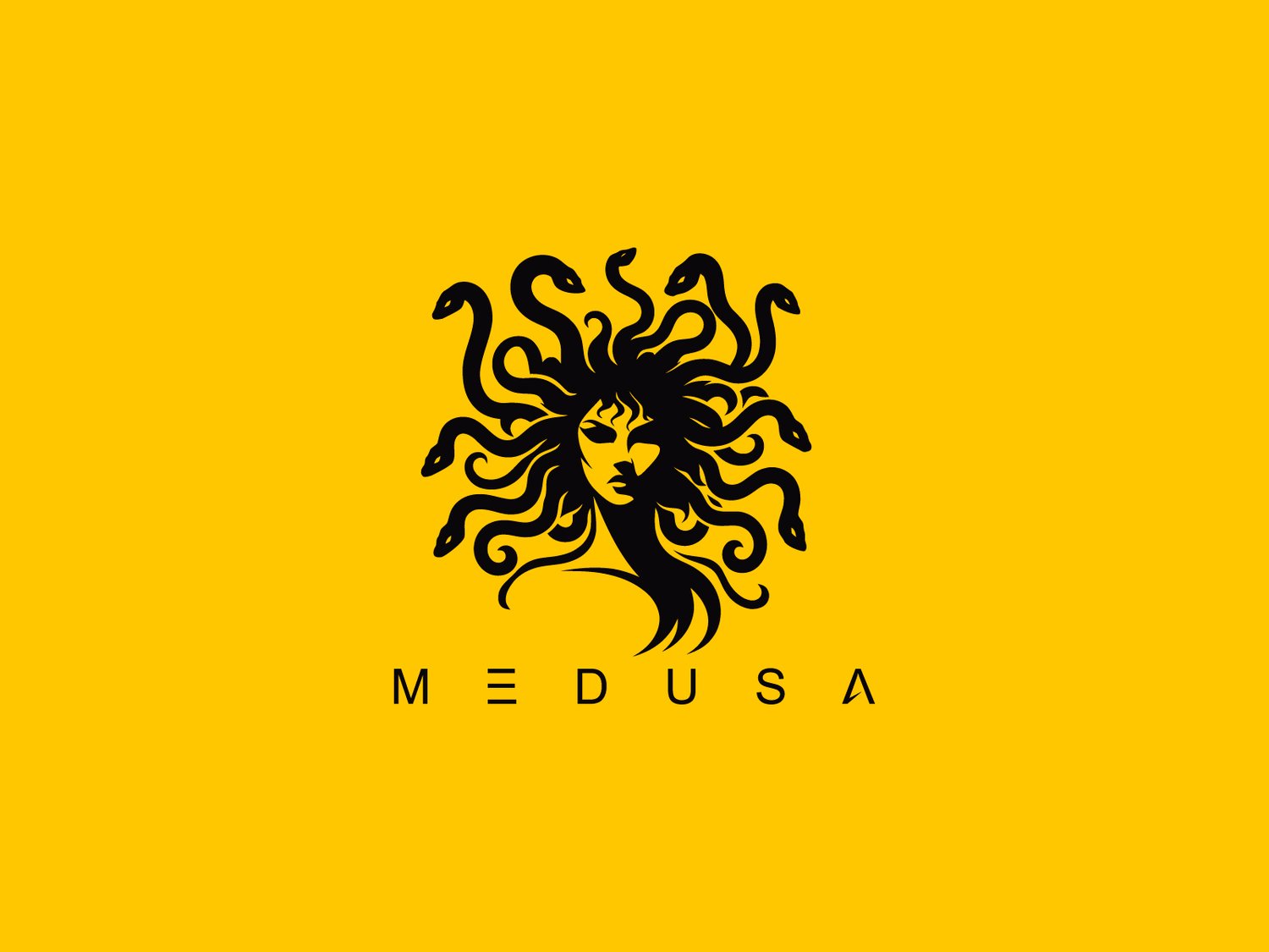 Hand-illustrated Medusa logo featuring a fierce and mesmerizing design, ideal for branding, merchandise, and business identity.