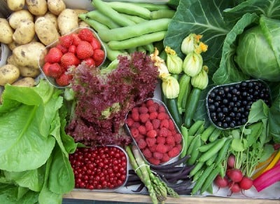 Selection of fruit and vegetables