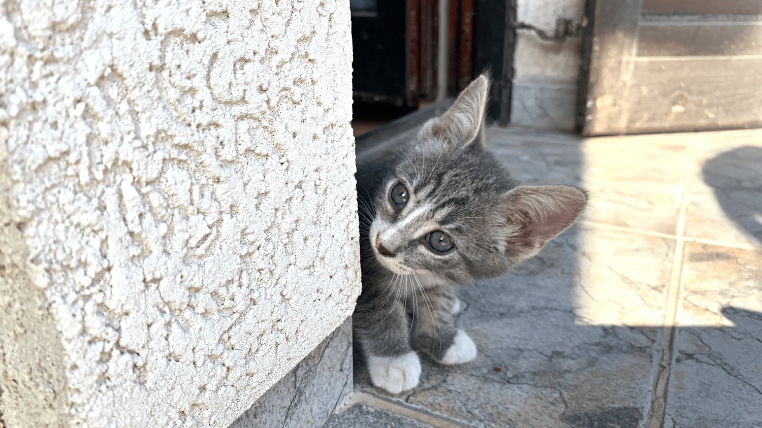 exclusive stock images with ownership transfer