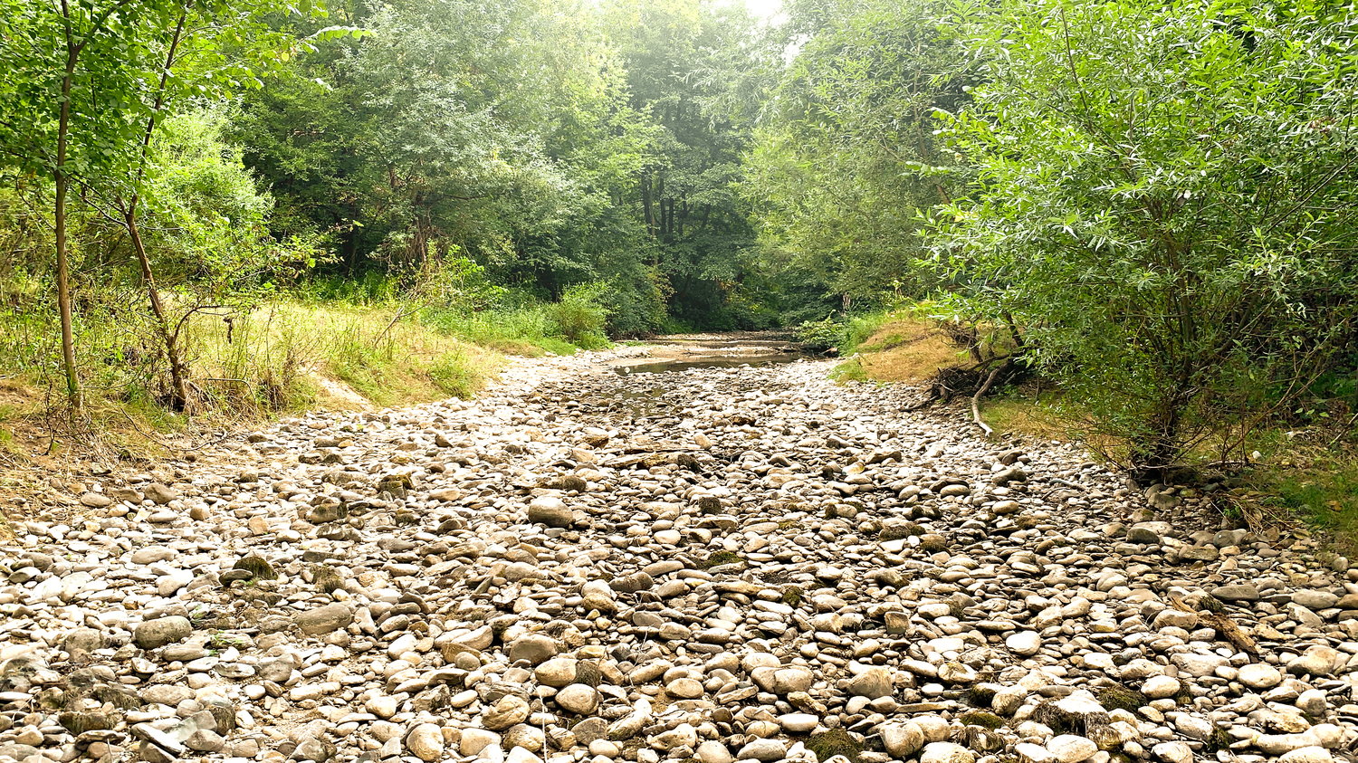 interesting touch from dry rivers and deserts for your design