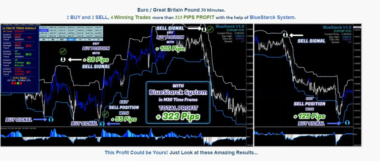 Bluestarck System Analyzes The Chart With Unique Trading Algorithms MT4