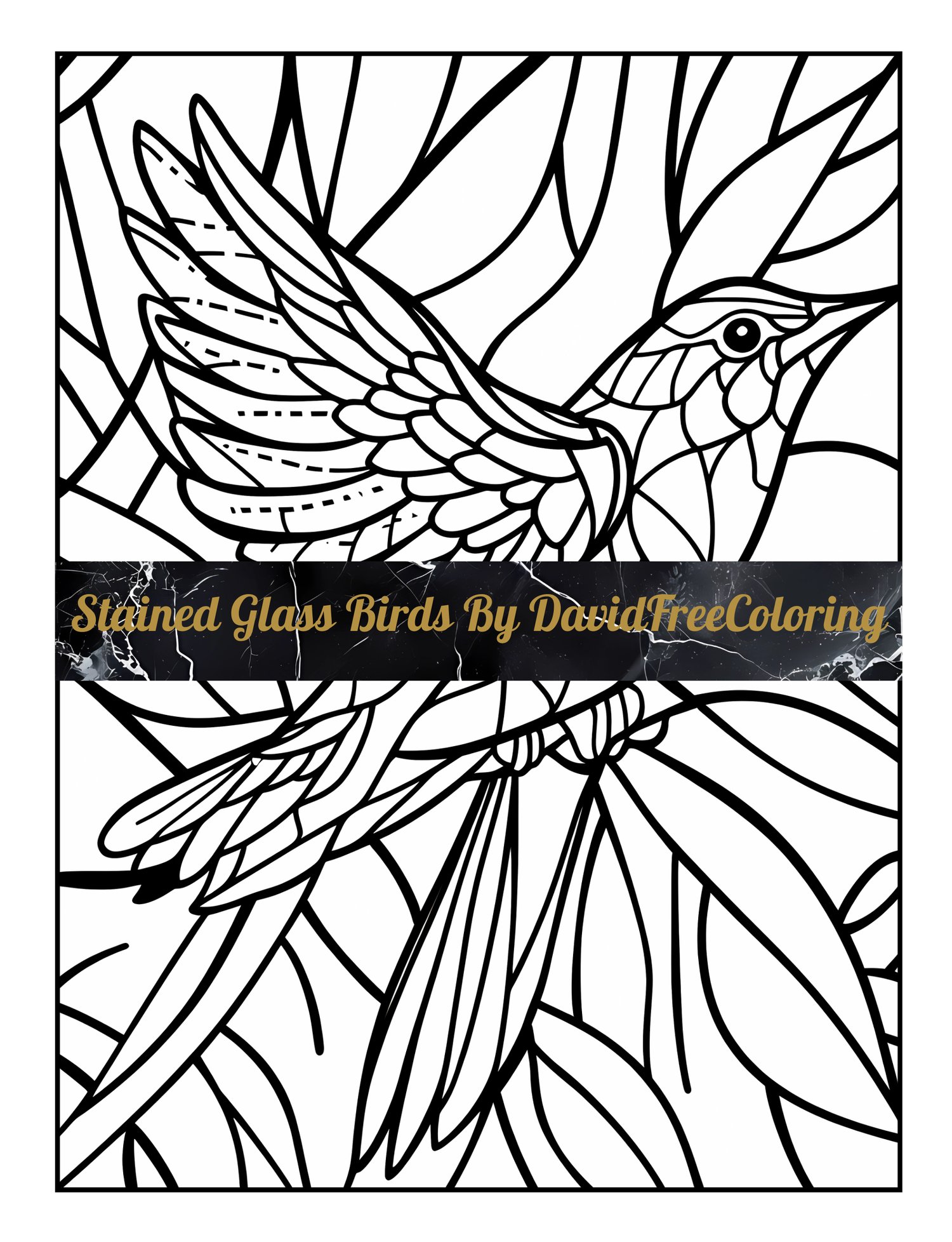 Stained Glass Birds Coloring Book is a coloring book for adults with 30 Bird images in a Stained Glass look; eagles, parrots, owls, hummingbirds and more. Have fun coloring them creatively, both through the download of PNG and PDF files
