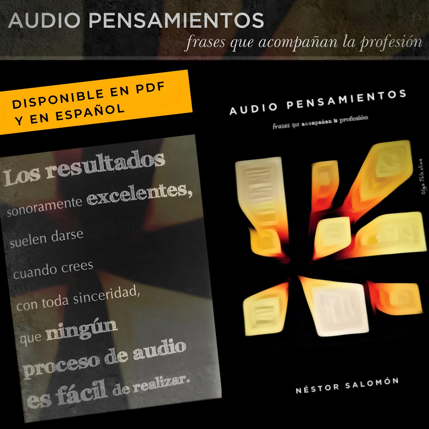 La portada del libro AUDIO PENSAMIENTOS de Nestor Salomon. Una frase del libro.