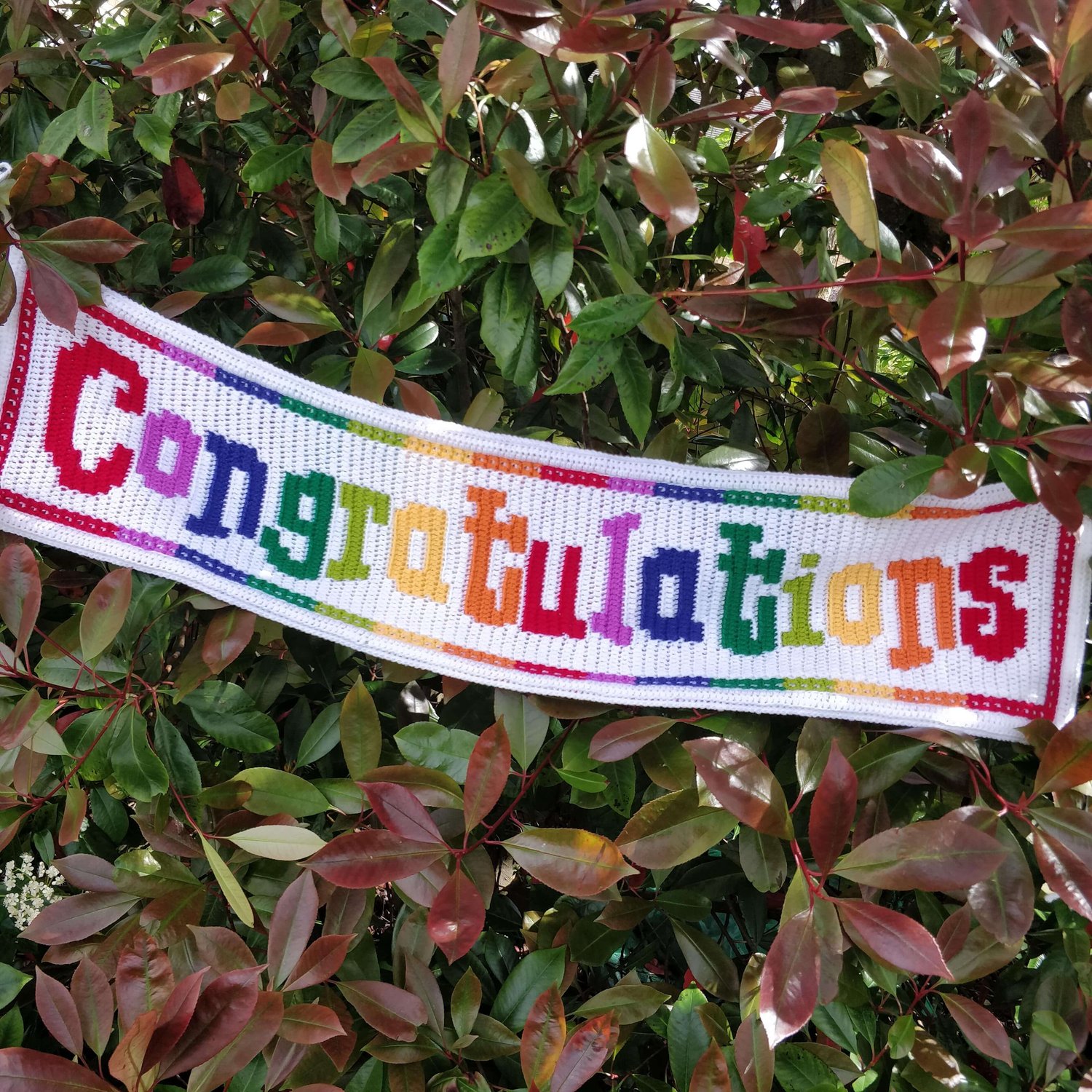 Crocheted banner with the word Congratulations across it hanging from a bush