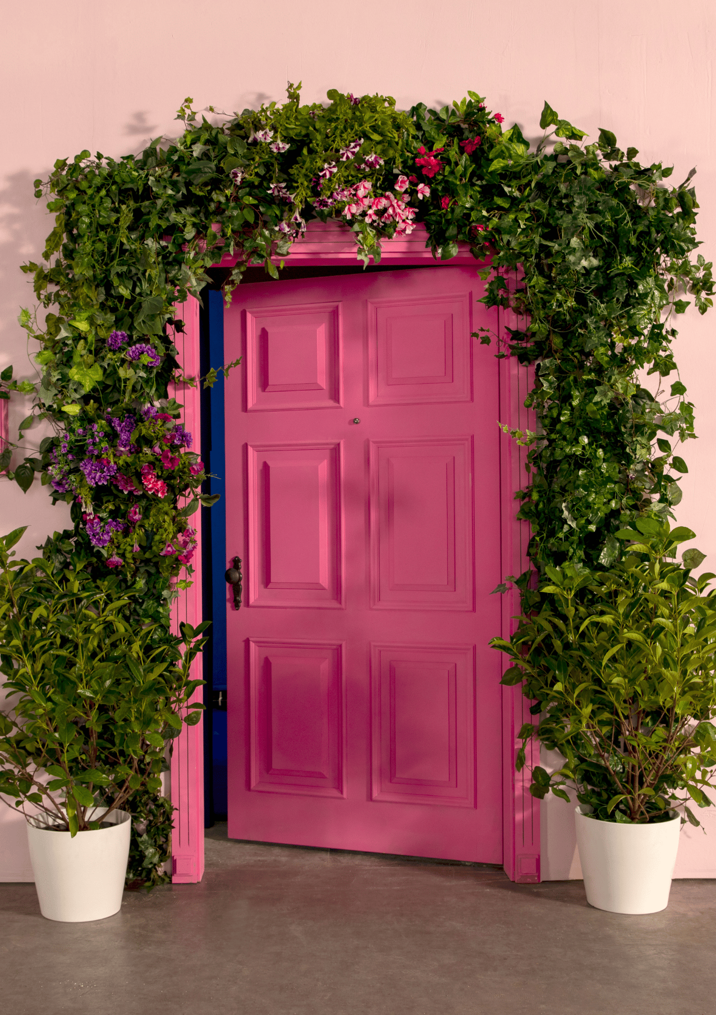 Pink door framed by lush green plants and blooming flowers, symbolizing new beginnings and opening to possibilities — featured in the About page on iamisabelbar.com