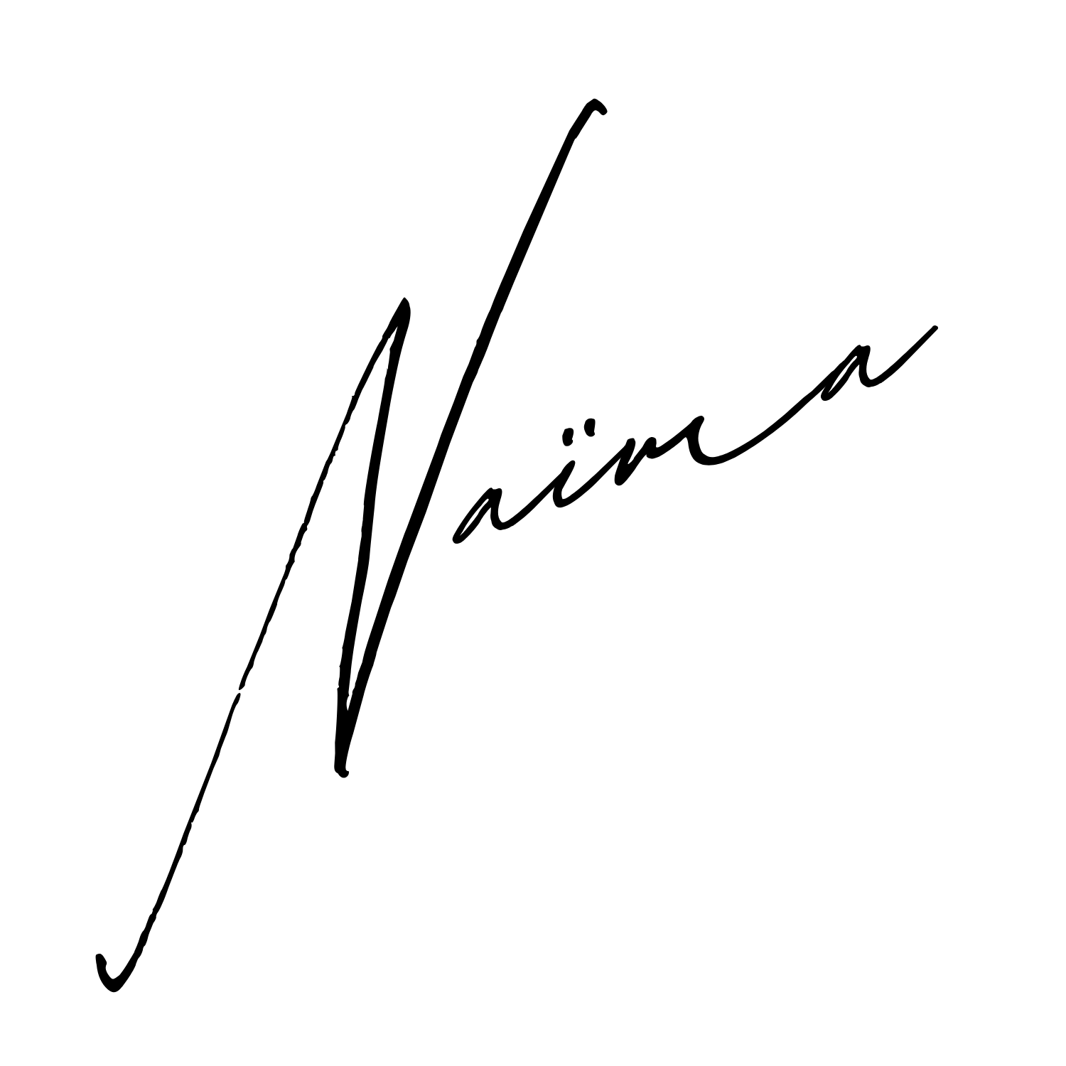 Logo Naïma Bremer